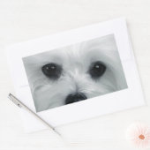 Hermes de Maltese Rechthoekige Sticker (Envelop)