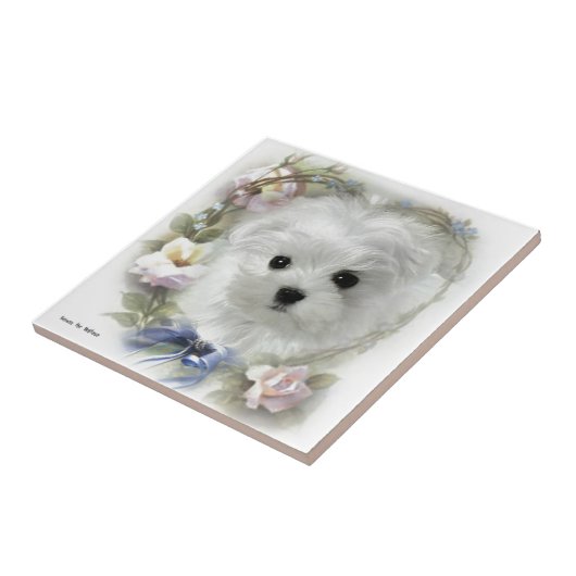 Hermes de Maltese Tegeltje (Zijkant)