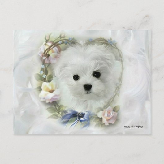 Hermes de Maltese Valentijn Kaart (Voorkant)