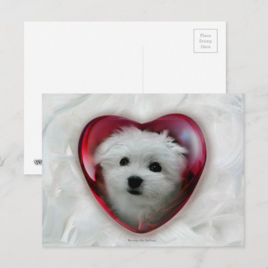 Hermes de Maltese Valentijn Kaart (Voorkant / Achterkant)