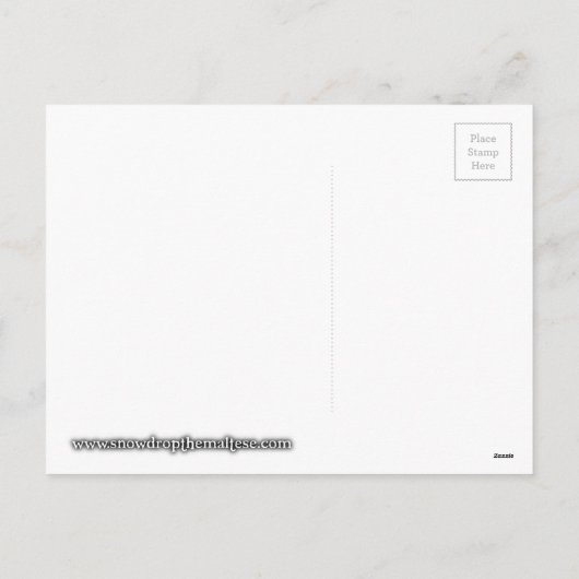 Hermes de Maltese Valentijn Kaart (Achterkant)