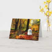 Hermes de Maltezer Kaart (Gele Bloem)