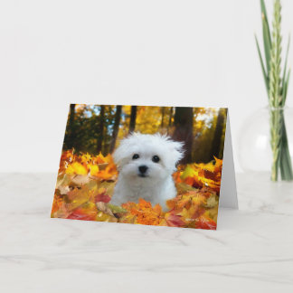 Hermes het Maltese blanco Wenskaart Kaart