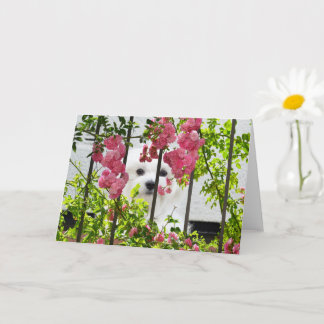 Hermes het Maltese blanco Wenskaart Kaart