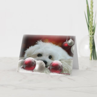 Hermes het Maltese kerst Wenskaart Feestdagen Kaart