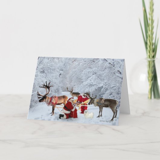 Hermes het Maltese kerst Wenskaart Feestdagen Kaart (Voorkant)