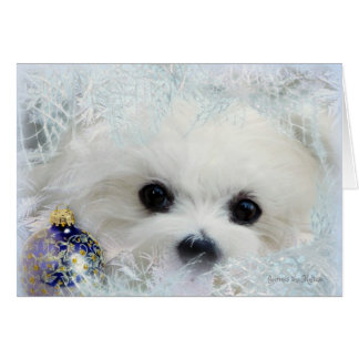 Hermes het Maltese kerstWenskaart