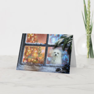 Hermes het Maltese kerstWenskaart Feestdagen Kaart