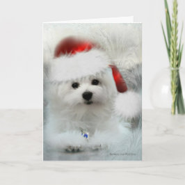 Hermes het Maltese Lege Wenskaart van Kerstmis Feestdagen Kaart