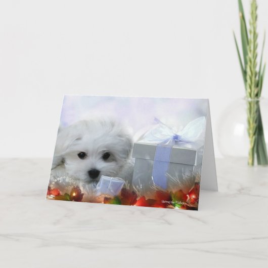 Hermes het Maltese Wenskaart van Kerstmis Feestdagen Kaart (Voorkant)