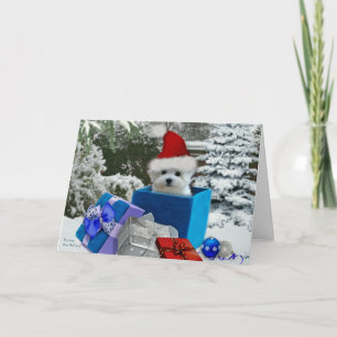Hermes het Maltese Wenskaart van Kerstmis Feestdagen Kaart