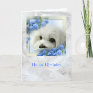 Hermes the Maltese Birthday Card Kaart