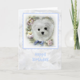 Hermes the Maltese Birthday Card Kaart