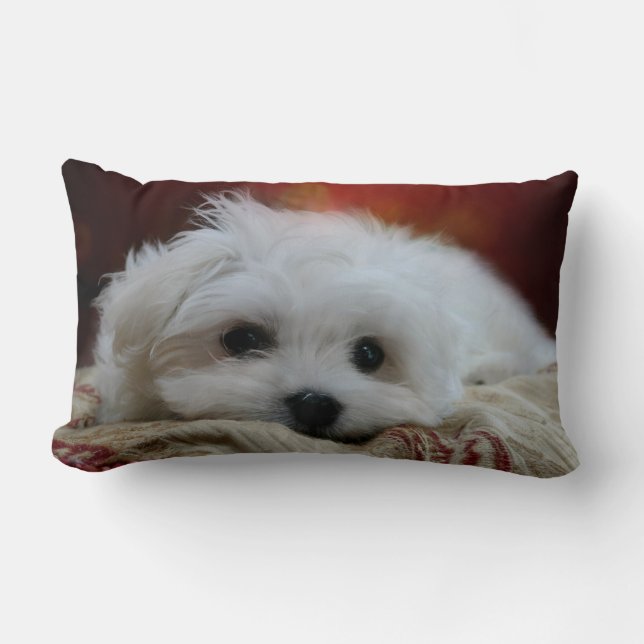 Hermes the Maltese Pillow Kussen (Voorkant)