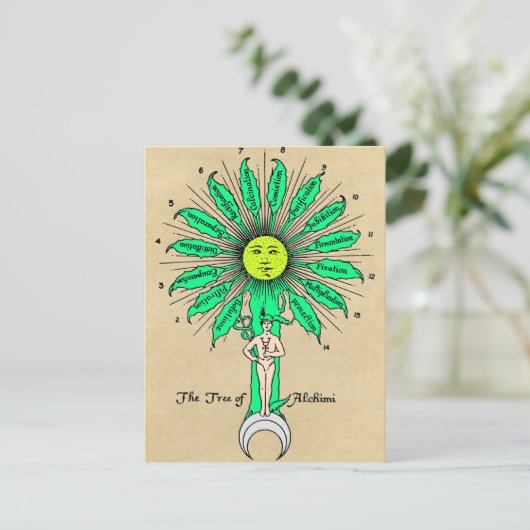 Hermes Tree of Alchemy Mandala Briefkaart (Staand voorkant)