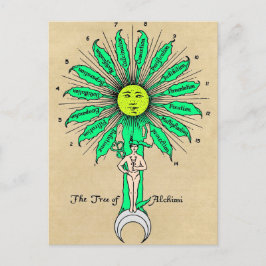 Hermes Tree of Alchemy Mandala Briefkaart