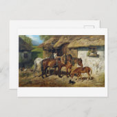 Hermine Biedermann-paarden in de Stab Briefkaart (Voorkant / Achterkant)