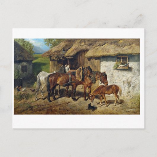 Hermine Biedermann-paarden in de Stab Briefkaart (Voorkant)