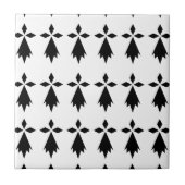 Hermine Vlag Bretagne Tegeltje (Voorkant)