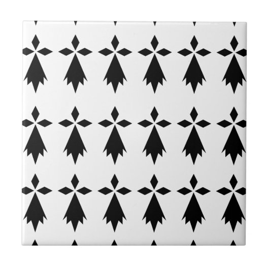 Hermine Vlag Bretagne Tegeltje (Voorkant)