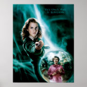 Hermione Granger en professor Umbridge Poster (Voorkant)