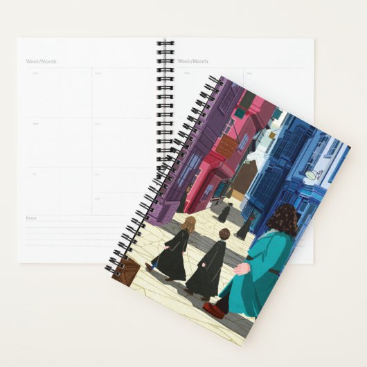 Hermione, HARRY POTTER™ & Hagrid in Diagon Alley Planner (Display)
