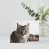 Hermione op de plank briefkaart (Staand voorkant)