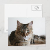 Hermione op de plank briefkaart (Voorkant / Achterkant)