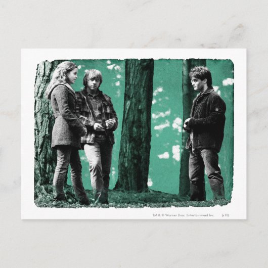 Hermione, Ron en Harry 1 Briefkaart (Voorkant)