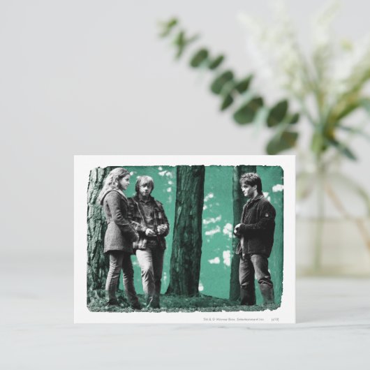 Hermione, Ron en Harry 1 Briefkaart (Staand voorkant)