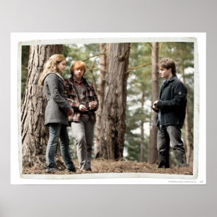 Hermione, Ron en Harry 2 Poster