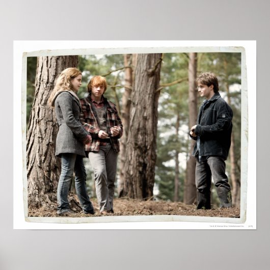 Hermione, Ron en Harry 2 Poster (Voorkant)