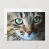 Hermione Up Close Briefkaart (Voorkant / Achterkant)