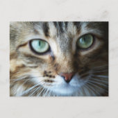 Hermione Up Close Briefkaart (Voorkant)