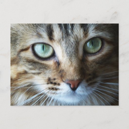 Hermione Up Close Briefkaart (Voorkant)