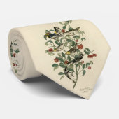 Hermit, Andere Warblers, Amerikaanse vogels van Au Stropdas (Opgerold)