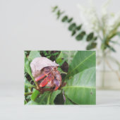 Hermit Crab Briefkaart (Staand voorkant)