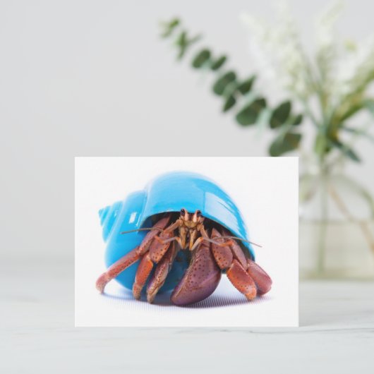 Hermit Crab Briefkaart (Staand voorkant)