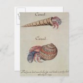 Hermit Crab Briefkaart (Voorkant / Achterkant)