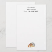 Hermit Crab Briefpapier (Voorkant / Achterkant)