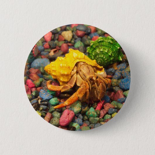 Hermit Crab Button 01 (Voorkant)
