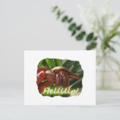 Hermit Crab en Help-tekst, grappig dierlijk ontwer Briefkaart (Staand voorkant)
