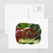 Hermit Crab en Help-tekst, grappig dierlijk ontwer Briefkaart (Voorkant / Achterkant)