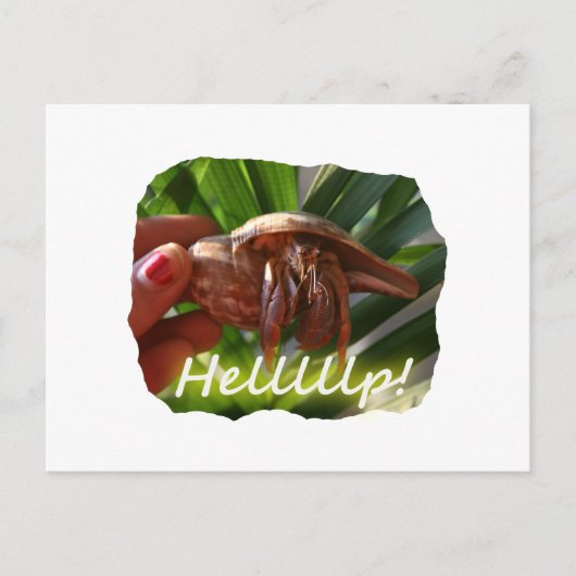 Hermit Crab en Help-tekst, grappig dierlijk ontwer Briefkaart (Voorkant)