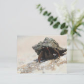 Hermit Crab foto afgedrukt Briefkaart (Staand voorkant)