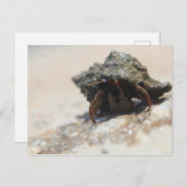 Hermit Crab foto afgedrukt Briefkaart (Voorkant / Achterkant)