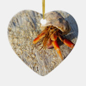 Hermit Crab Keramisch Ornament (Voorkant)