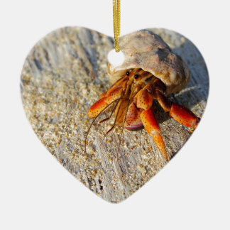 Hermit Crab Keramisch Ornament