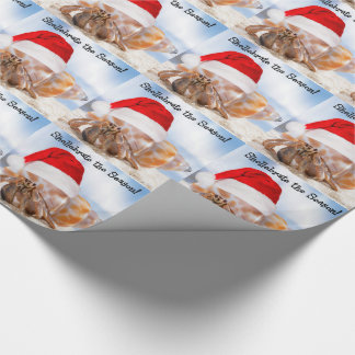 Hermit Crab Kerstmis Cadeaupapier