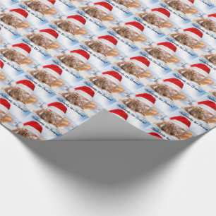 Hermit Crab KerstSmall Cadeaupapier